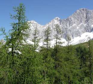 Blick zum Dachstein