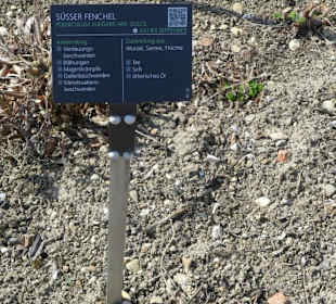 Hinweistafel zum eingepflanzten Kraut