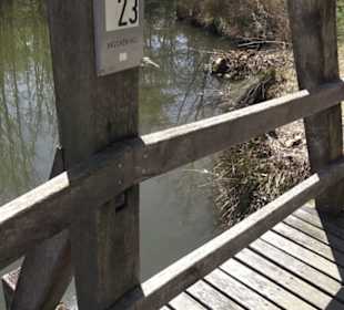 Sport- und Freizeitpark Markwasen