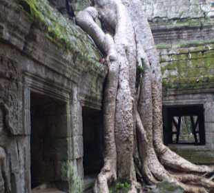 Tempel Ta Prohm