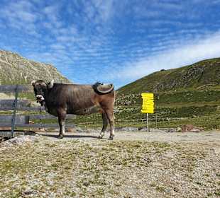 Wandern Mandarfen