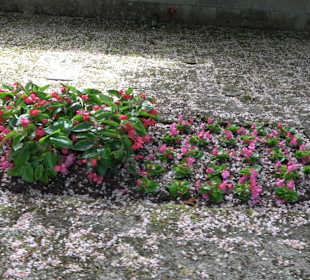 Gefallenendenkmal am Friedhof Holzhausen