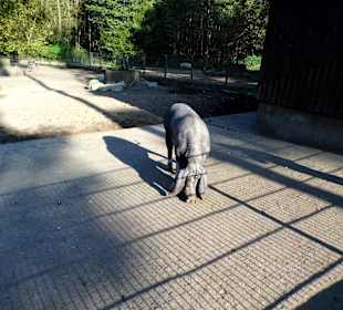 WP LH Herbst Impression