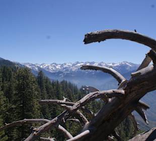 Auf dem Gipfel von Moro Rock