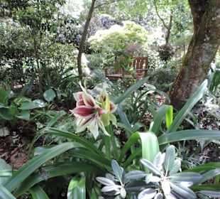 Eden Garden ein Paradies mitten in der Stadt