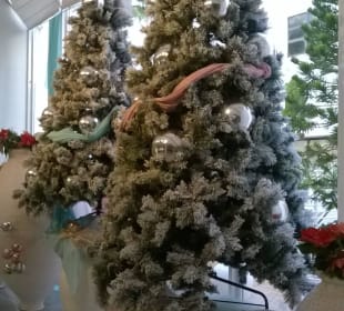 Weihnachtsdeko im Eingangsbereich
