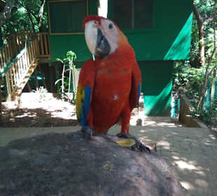 Frei, man muß aufpassen, der zwackt