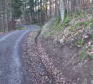 Ochsenweiher Rundweg