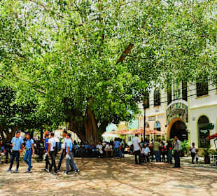 Egal ob Schüler oder Touristen, es ist was geboten