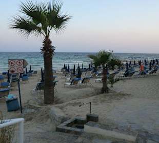 Kleines Ökologisches Detail