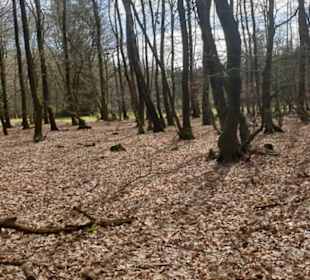 Fischbecker Heide Wanderwe 6