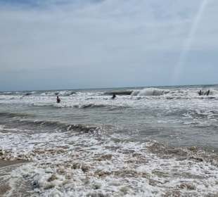 Auch da waren Gäste im Meer