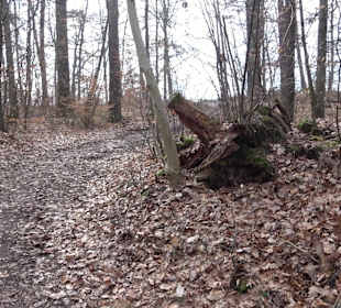 Unterjesinger Wengertwegle