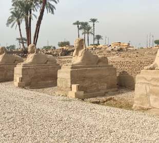 Sphinx-Allee 