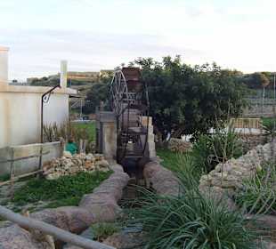"Bethlehem" auf Gozo...