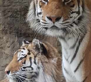 Beide haben uns im Blick