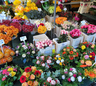 Der Bremer Blumenmarkt im Herbst