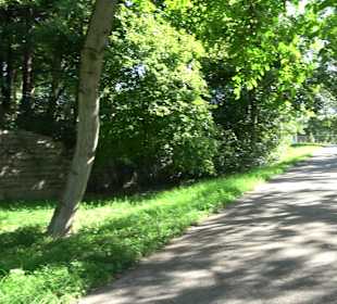 Leibfriedscher Garten