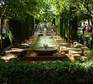 Kathedrale der Heiligen Maria 'La Seu' Garten