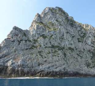 Schiffsausflug zum Cap Formentor mit Delfin Negro