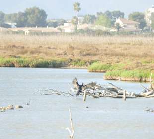 Naturpark S'Albufera