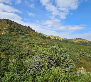 Wandern Ried im Zillertal