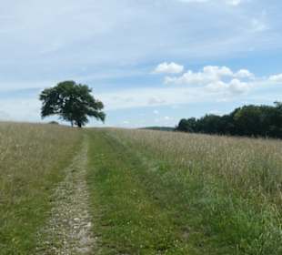 Wandern bei Bad Mergentheim