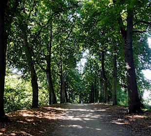 Rundgang über die Stadtwall-Promenade