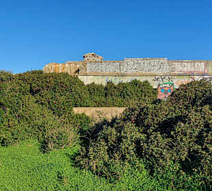 Seven Hanging Valleys Trail 