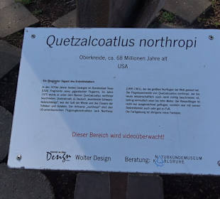 Staatliches Naturkunde Museum