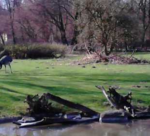 Tierpark Hellabrunn in München