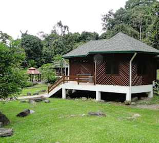 Poring Hot Springs - Schmetterlingsgarten