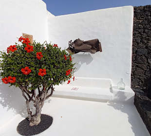 Fundacion Cesar Manrique