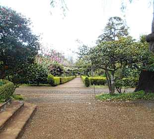 Palheiro Gardens