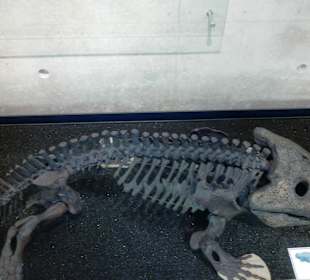  Burgruine Lichtenberg Thallichtenberg Geoskop