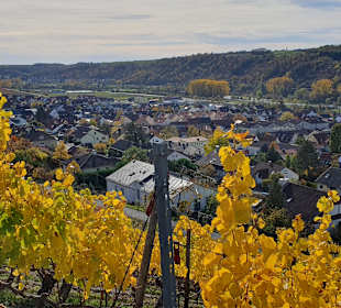 Stadtrundgang Frickenhausen am Main