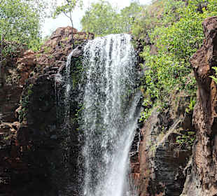 Litchfield  NP