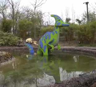 Land der Abenteuer - Dschungel X-pedition