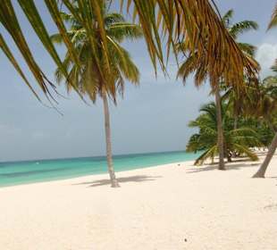 Saona Strand