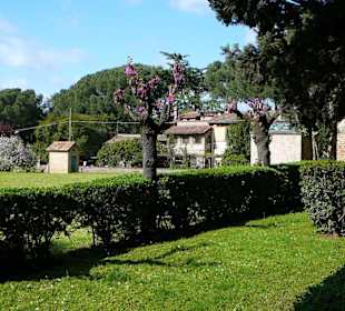 Schöner Landausflug