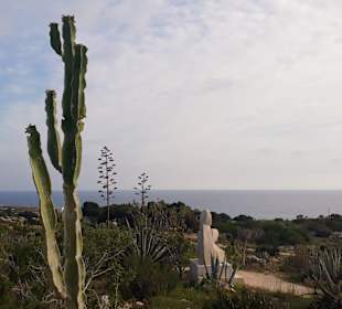 Kakteengarten am Skulpturenpark