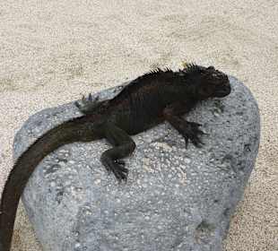 Hier ist es schön sonnig