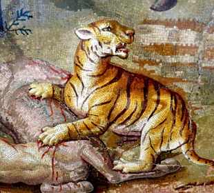 Detail Mosaik: Raubkatze   130 n.Chr.