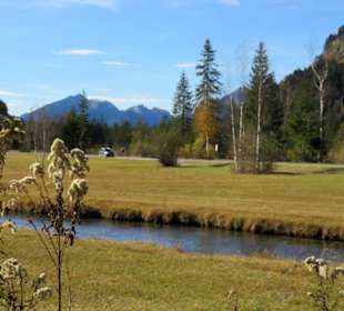 Quellbach im Weidmoos