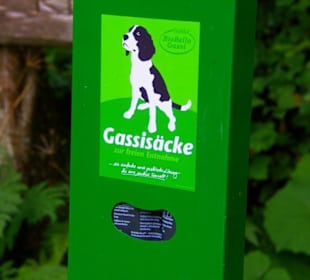 Für Hunde kostenlos