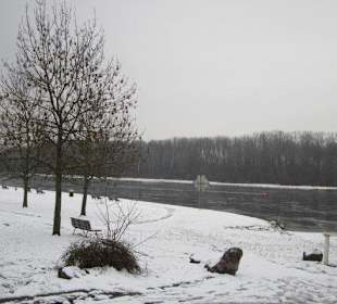 Am Rhein im Winter