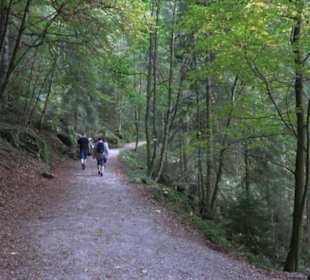 Triberger Wasserfälle