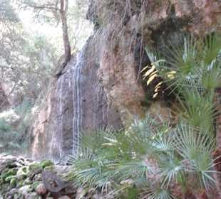 La Reseva - Parc de Natural