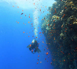 Steilwand am Elphinestone