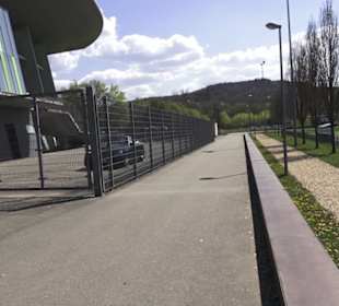 Waldsportpfad im Wasenwald